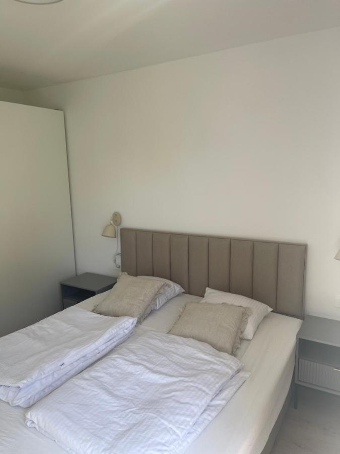 Soltysovka Apartments روغوزنيكا المظهر الخارجي الصورة